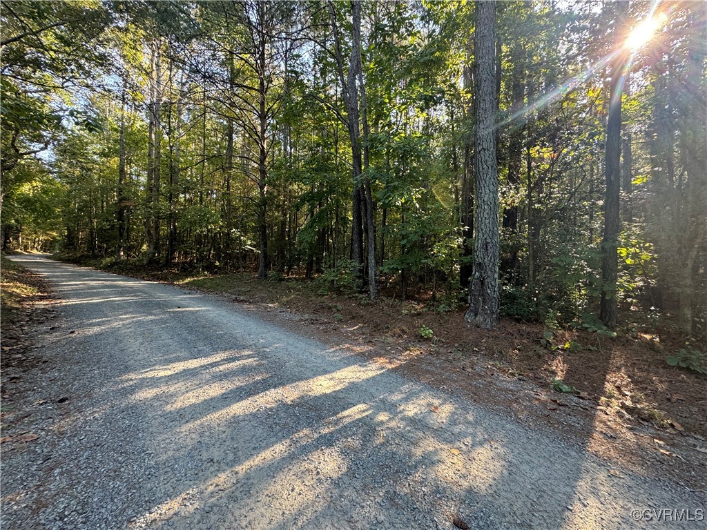 0 Clarke Road Lanexa, VA 23089 - Photo 3 of 7 Gallery Image 3