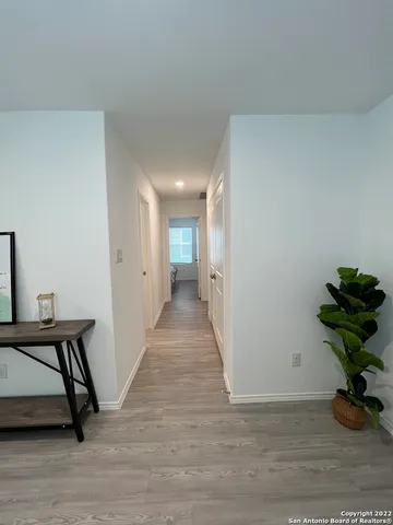 a view of a hallway with wooden floor and a potted plant