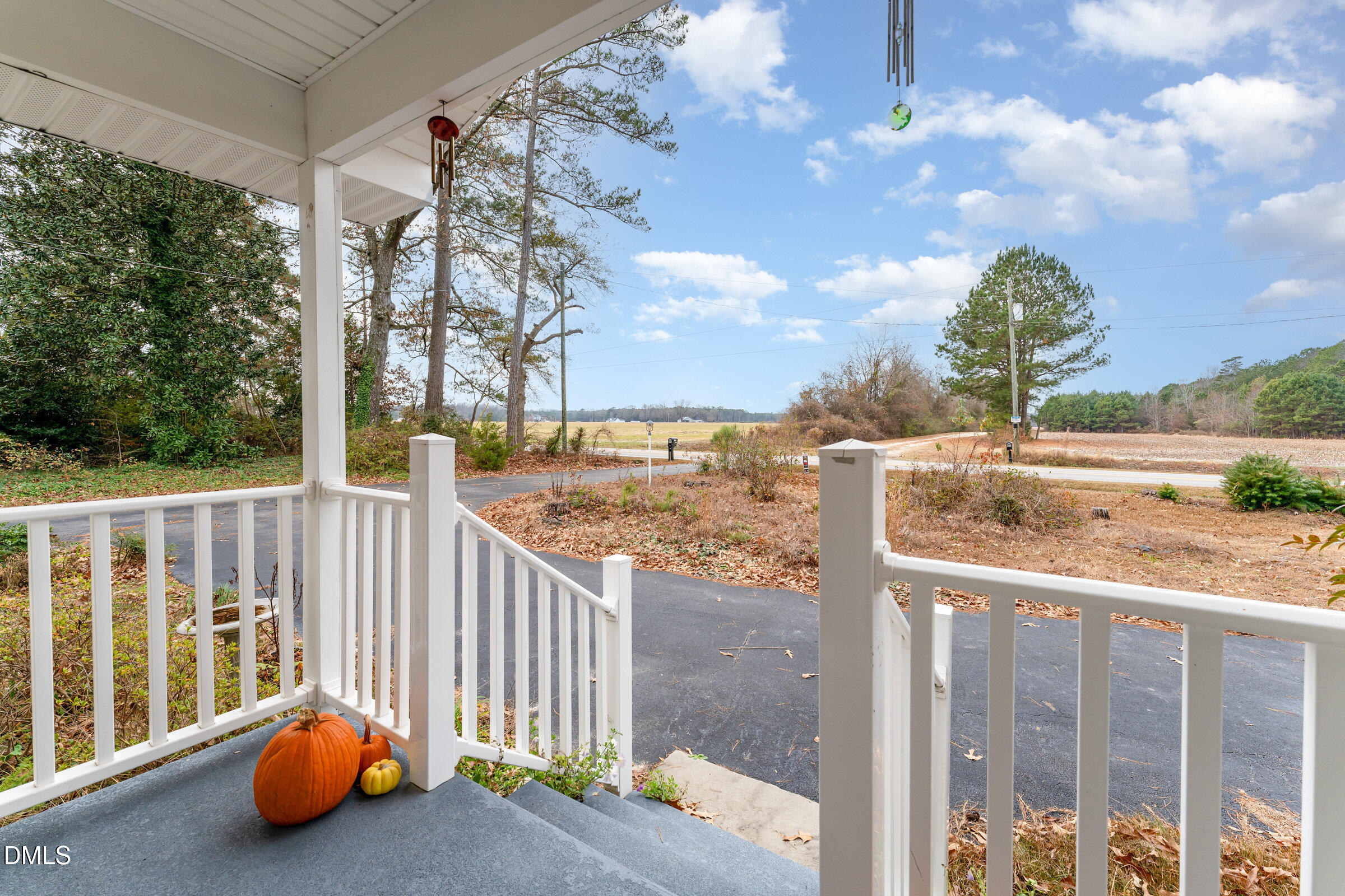 4159 Princeton Kenly Road Kenly, NC 27542 - Photo 4 of 37 a balcony with street view