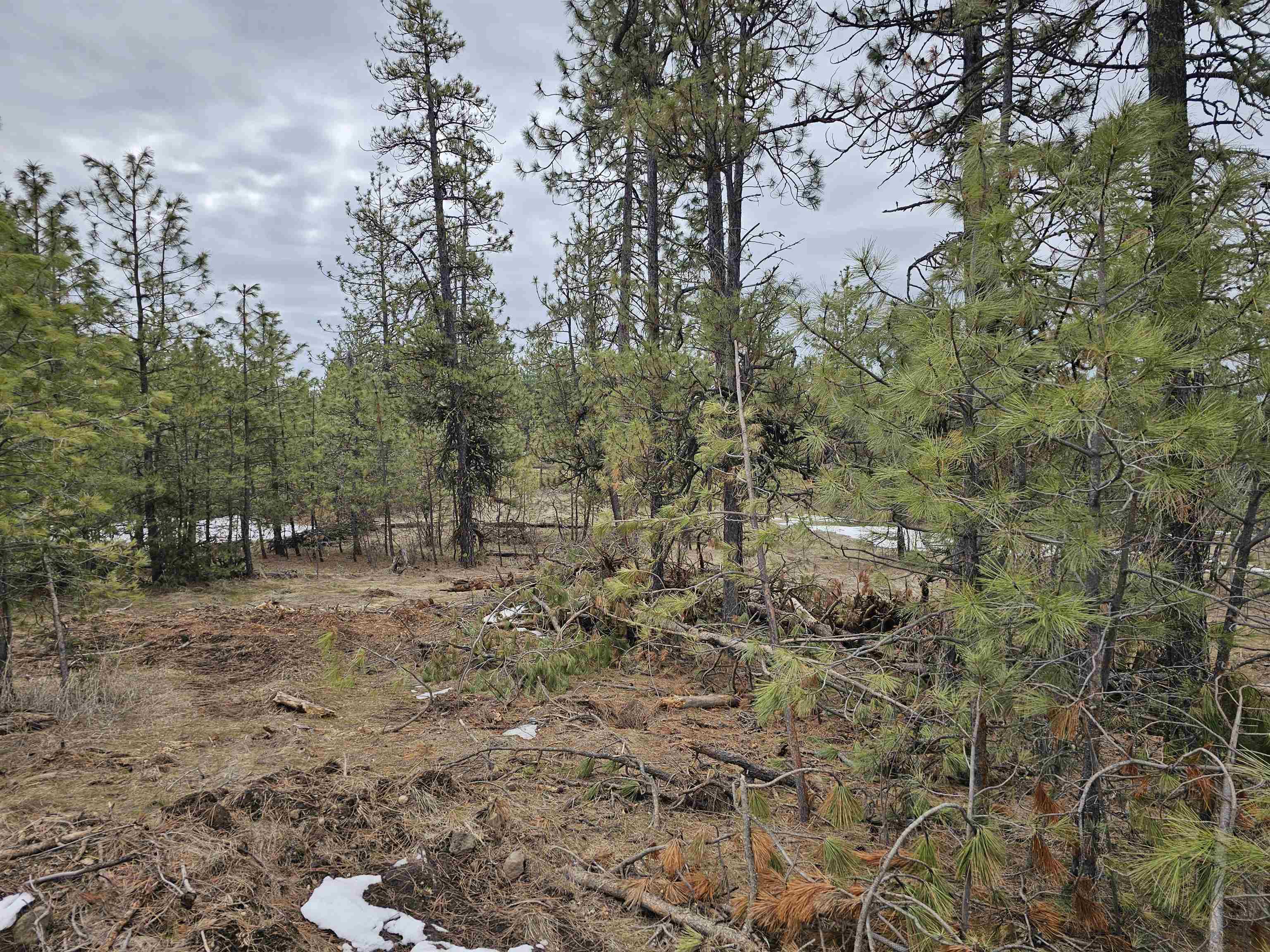 18324 West Burnett Road Nine Mile Falls, WA 99026 - Photo 10 of 34