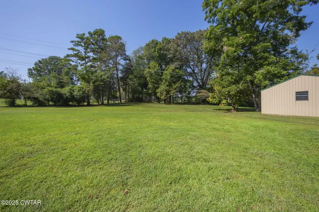 a view of a field with a tree