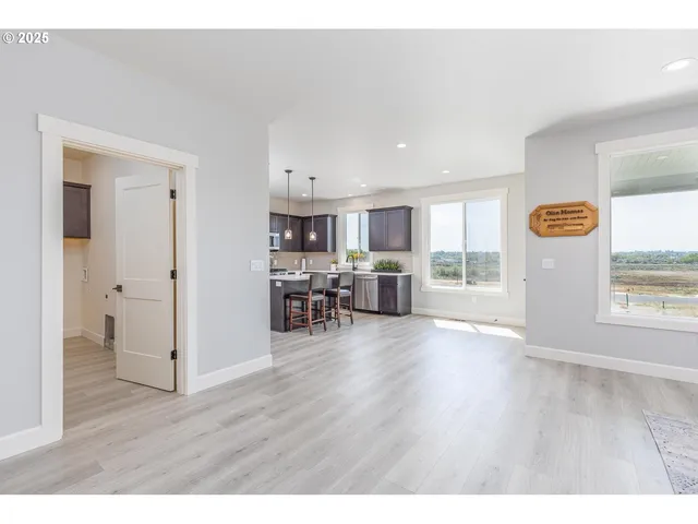 a view of a kitchen with furniture and wooden floor