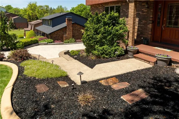 a view of a garden with a tree