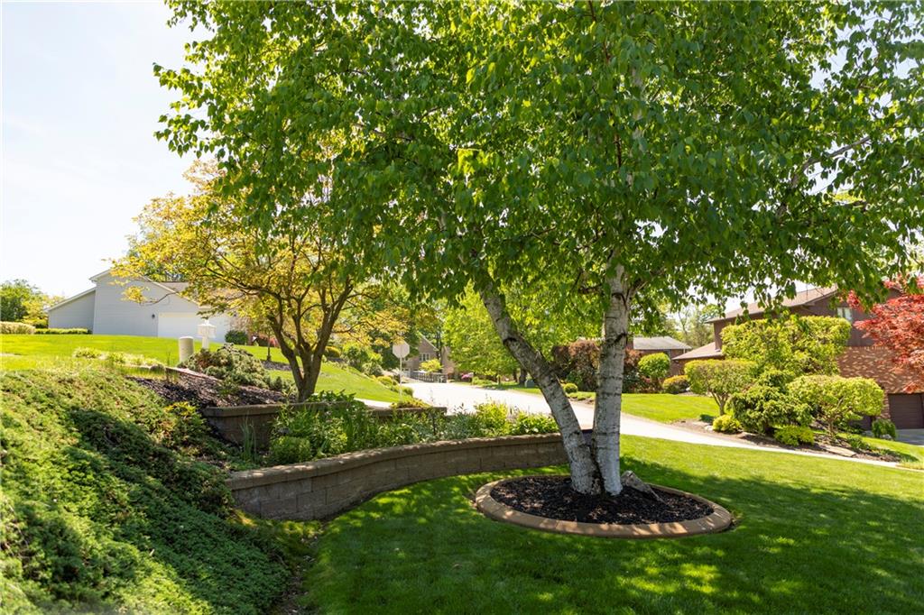 462 Adele Drive Irwin, PA 15642 - Photo 5 of 50 a view of a garden with a tree