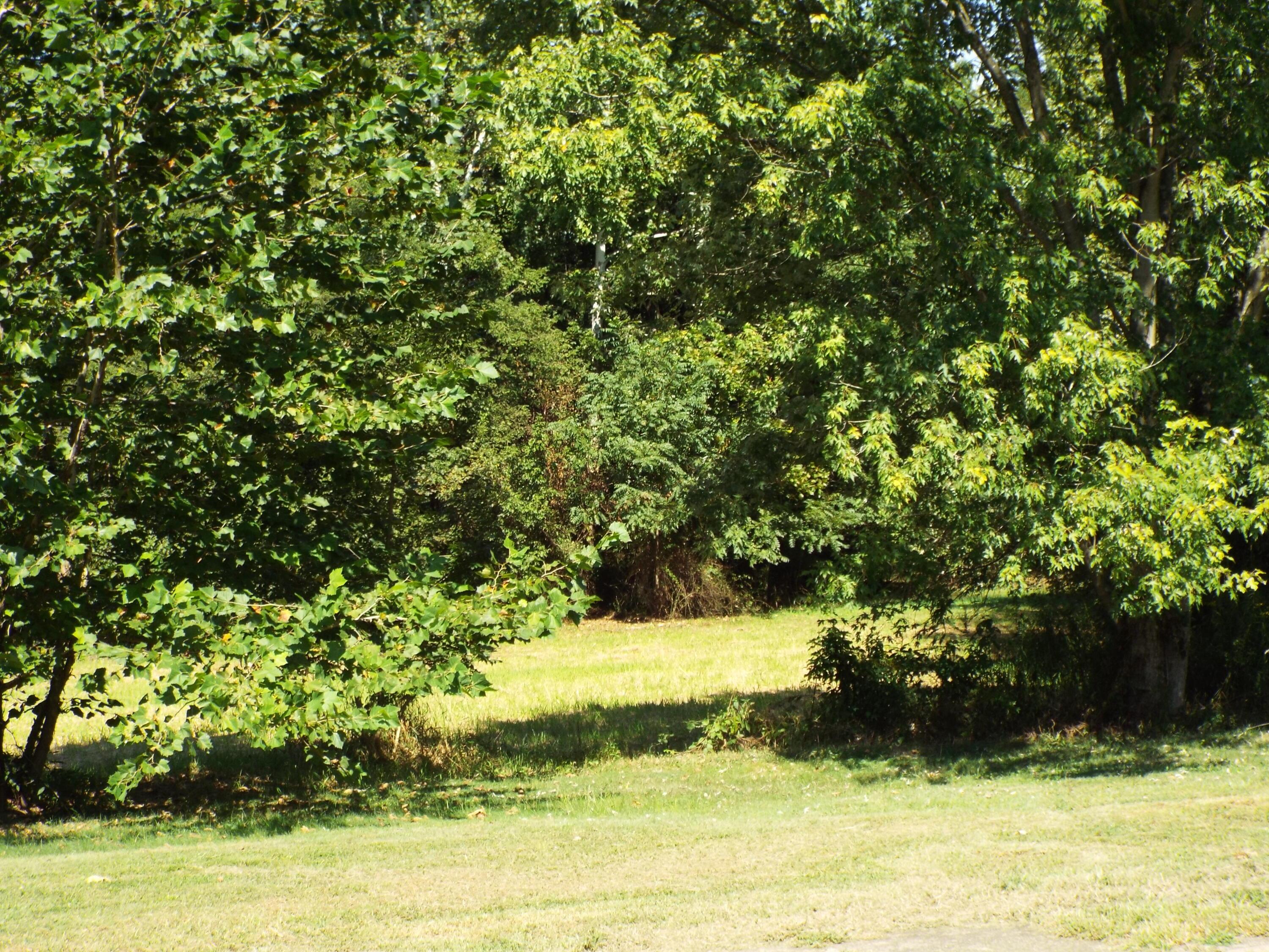 17687 Laurel Run Road Nelsonville, OH 45764 - Photo 7 of 20 Land