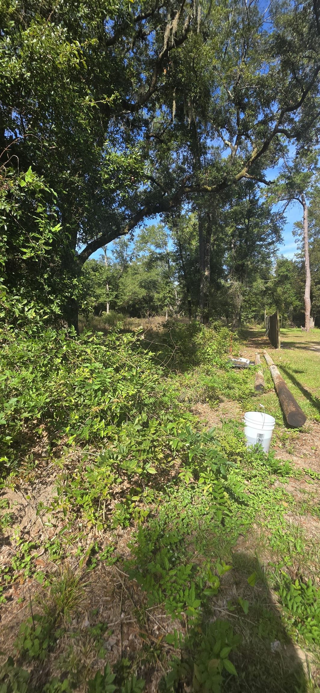 12540 3rd Avenue Foley, AL 36535 - Photo 10 of 22