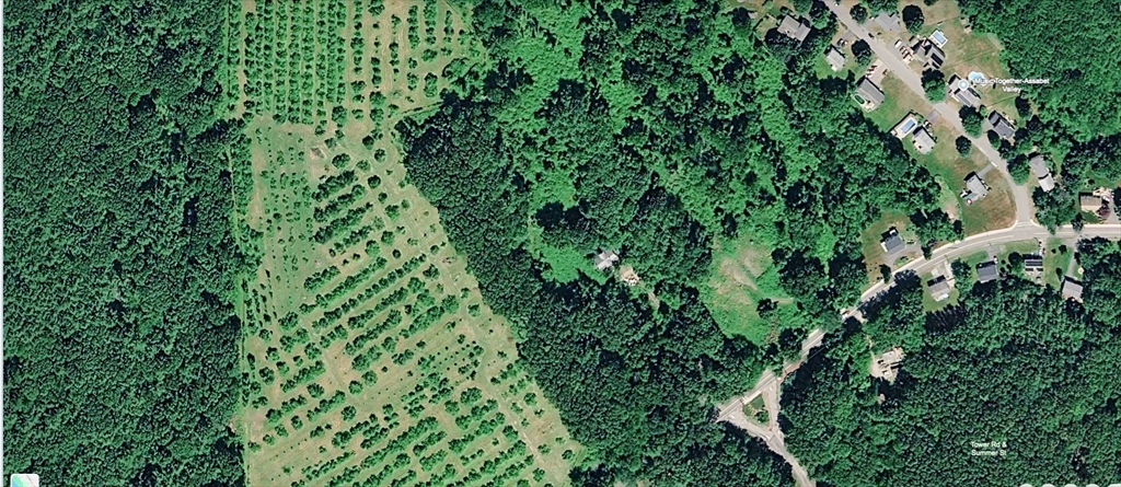 201 Summer Street Maynard, MA 01754 - Photo 1 of 2 an aerial view of residential house with outdoor space and trees all around