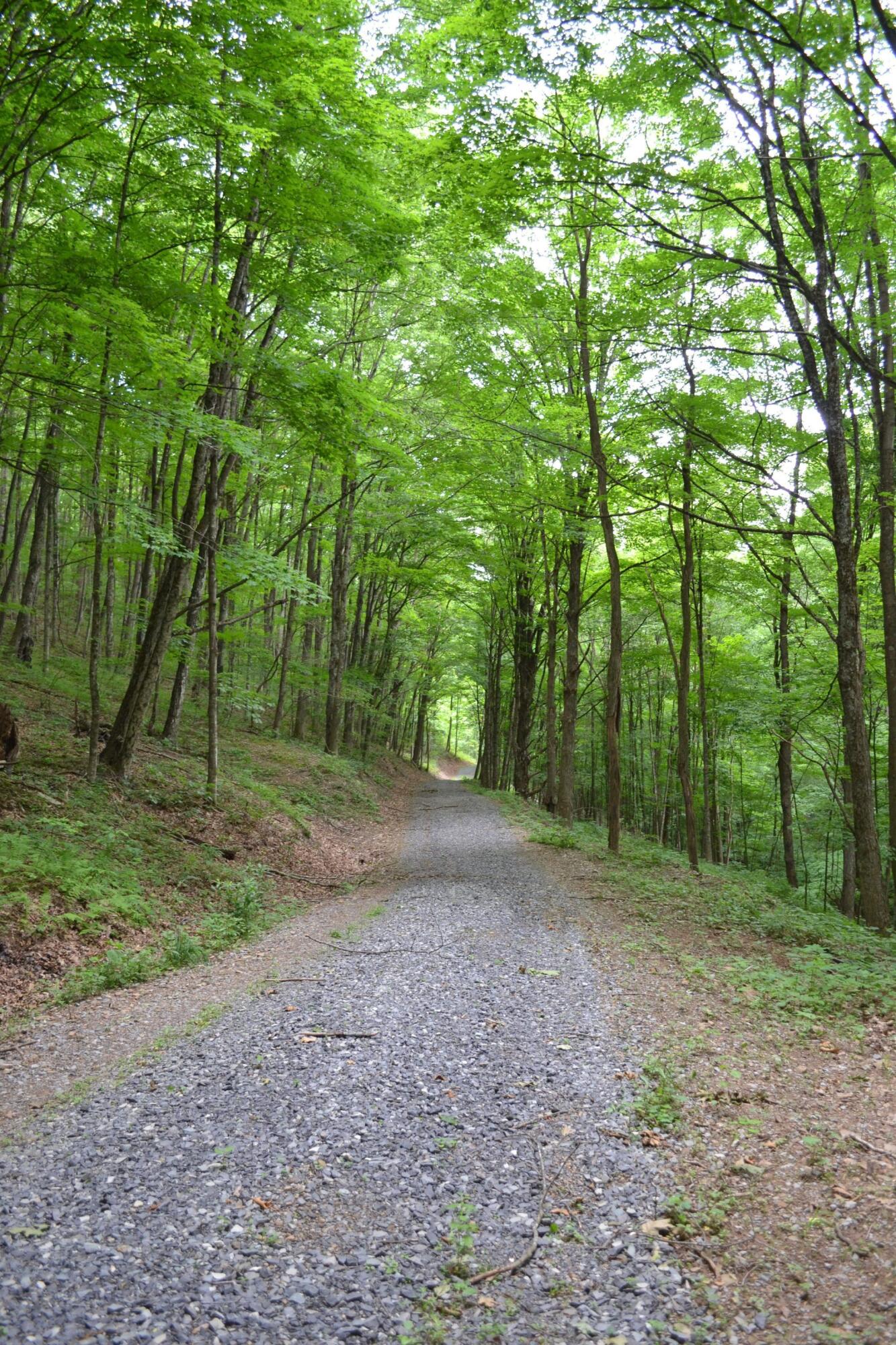 6299 Edray Road Cass, WV 24927 - Photo 9 of 9 Gallery Image 9