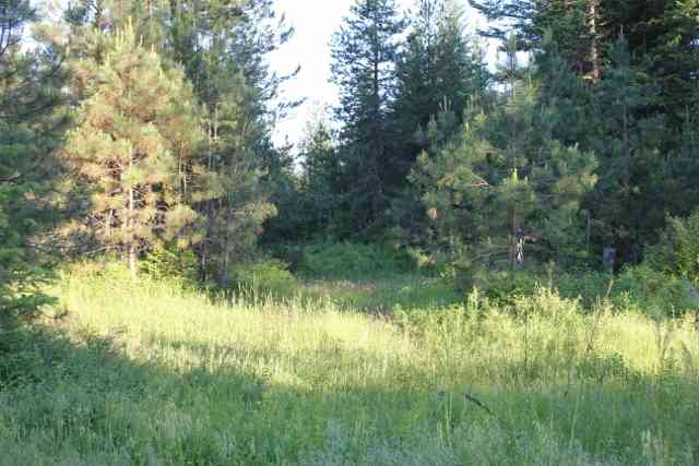 1 Stonebrook Way Springdale, WA 99173 - Photo 7 of 9 Gallery Image 7