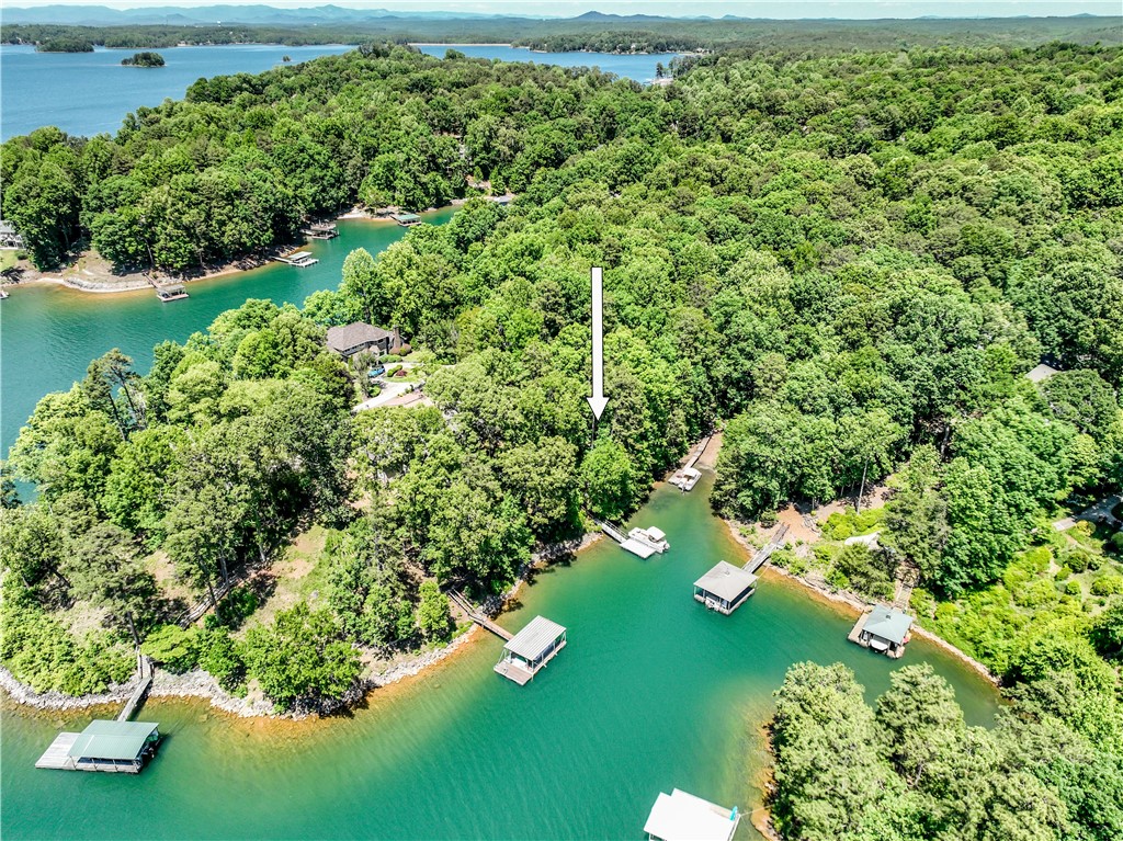 164 Wild Azalea Point Seneca, SC 29672 - Photo 3 of 31