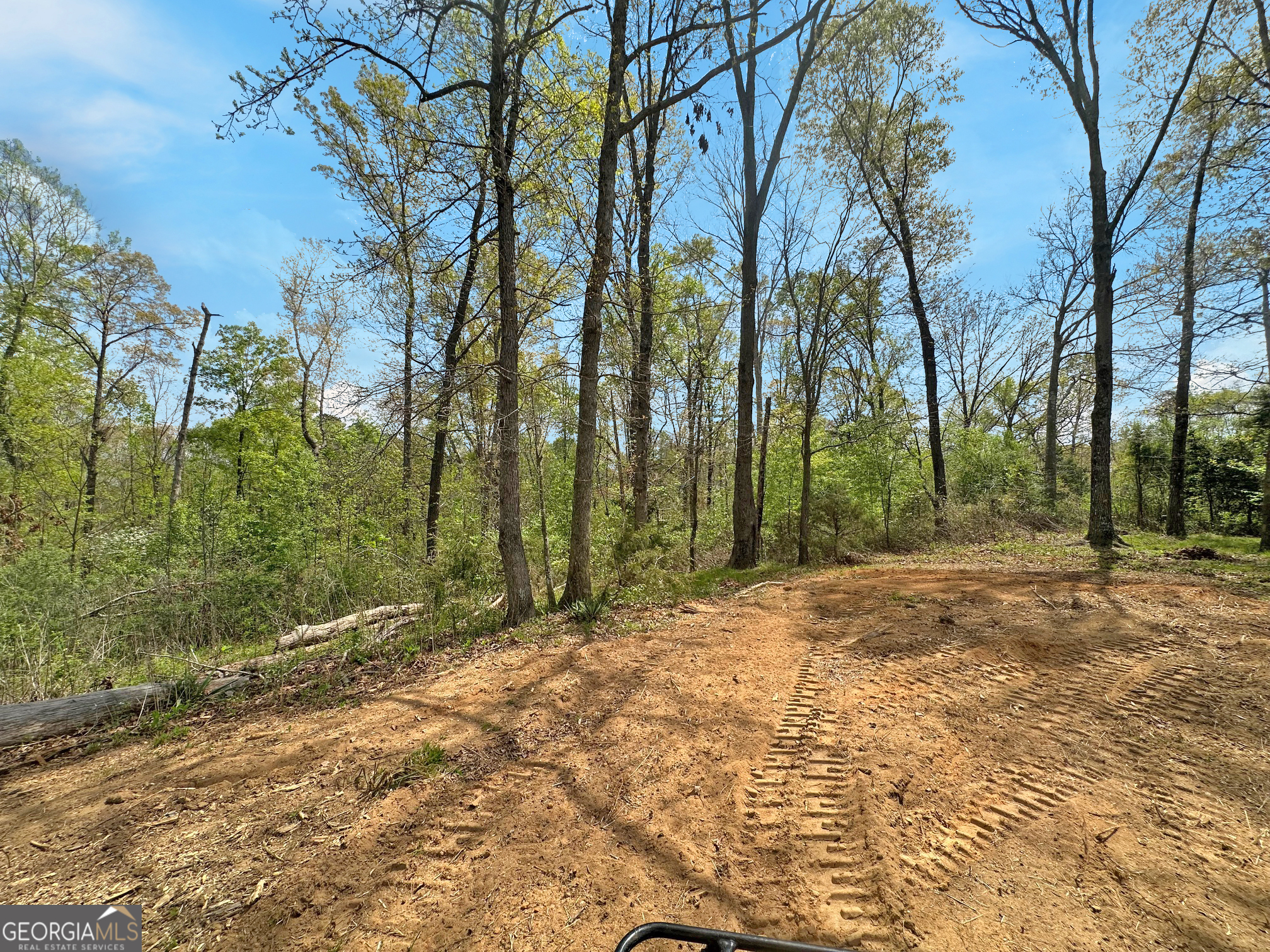 102 Broad River Road, Unit LOT 6 Eastanollee, GA 30538 - Photo 3 of 9 a view of backyard with trees