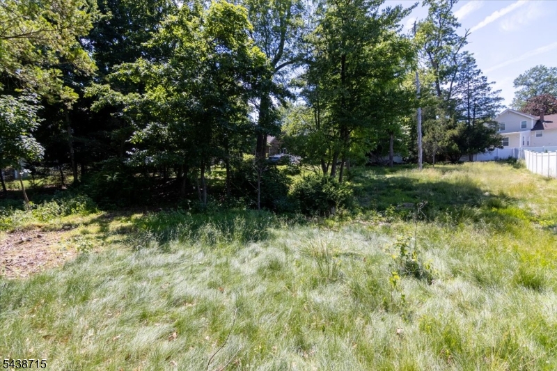 234 Ridge Road Cedar Grove, NJ 07009 - Photo 3 of 13