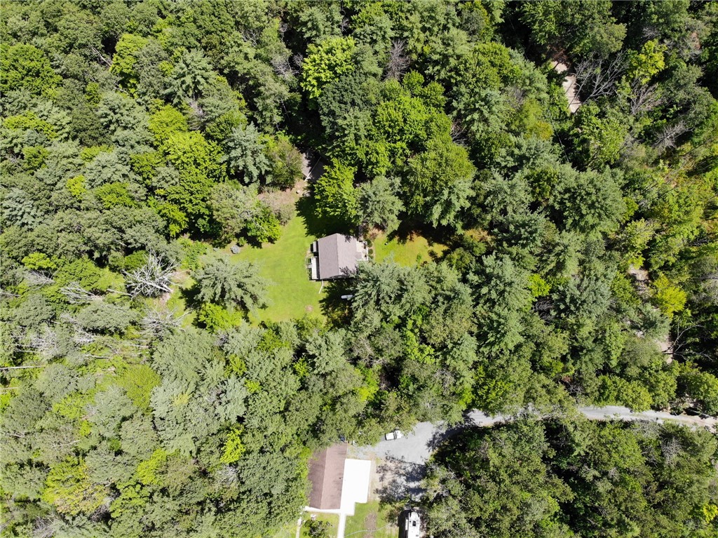 1735 Lightfoot Lane Caton, NY 14830 - Photo 46 of 50