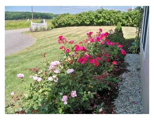 81 Granite Point Road Biddeford, ME 04005 - Photo 20 of 22 Yard/Garden.