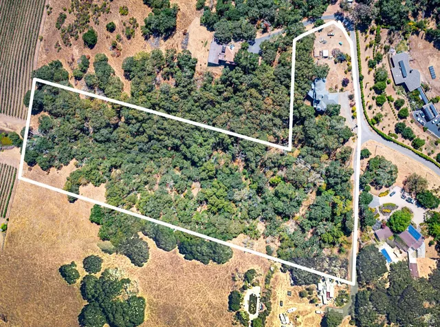 a view of a yard with plants