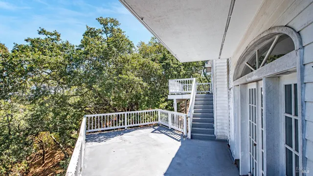 a view of a tree with a yard