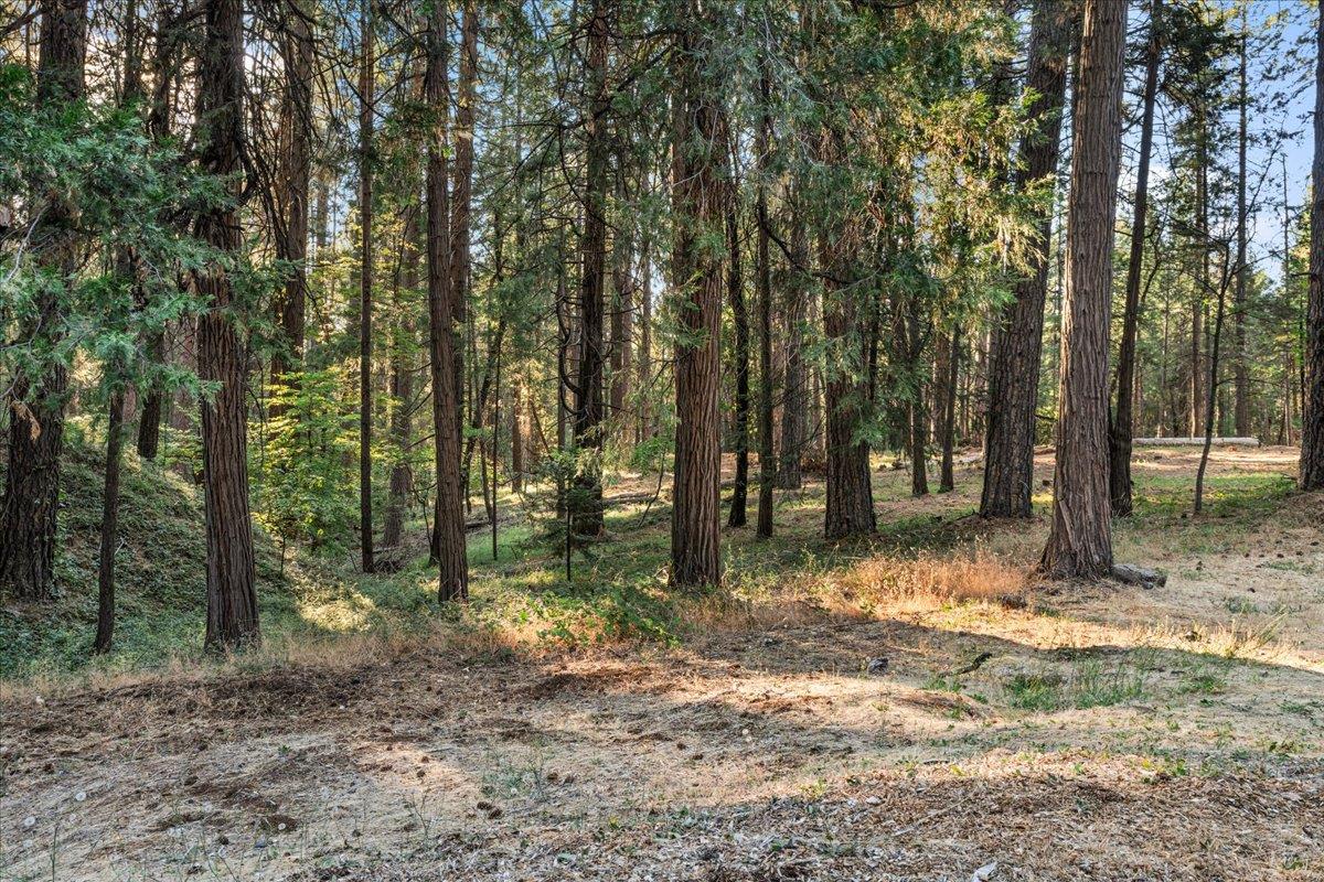 12632 Pinewoods Road Nevada City, CA 95959 - Photo 48 of 60