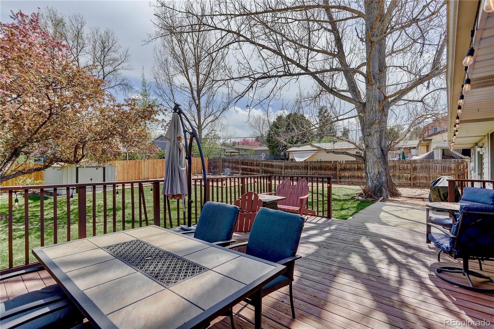 7834 Reed Street Arvada, CO 80003 - Photo 10 of 33