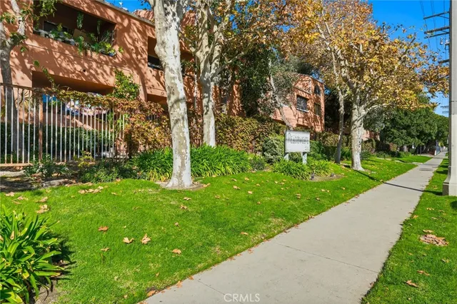 a view of a park with large trees