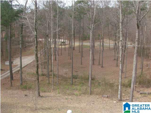 93 Crystal Avenue Bessemer, AL 35023 - Photo 2 of 23