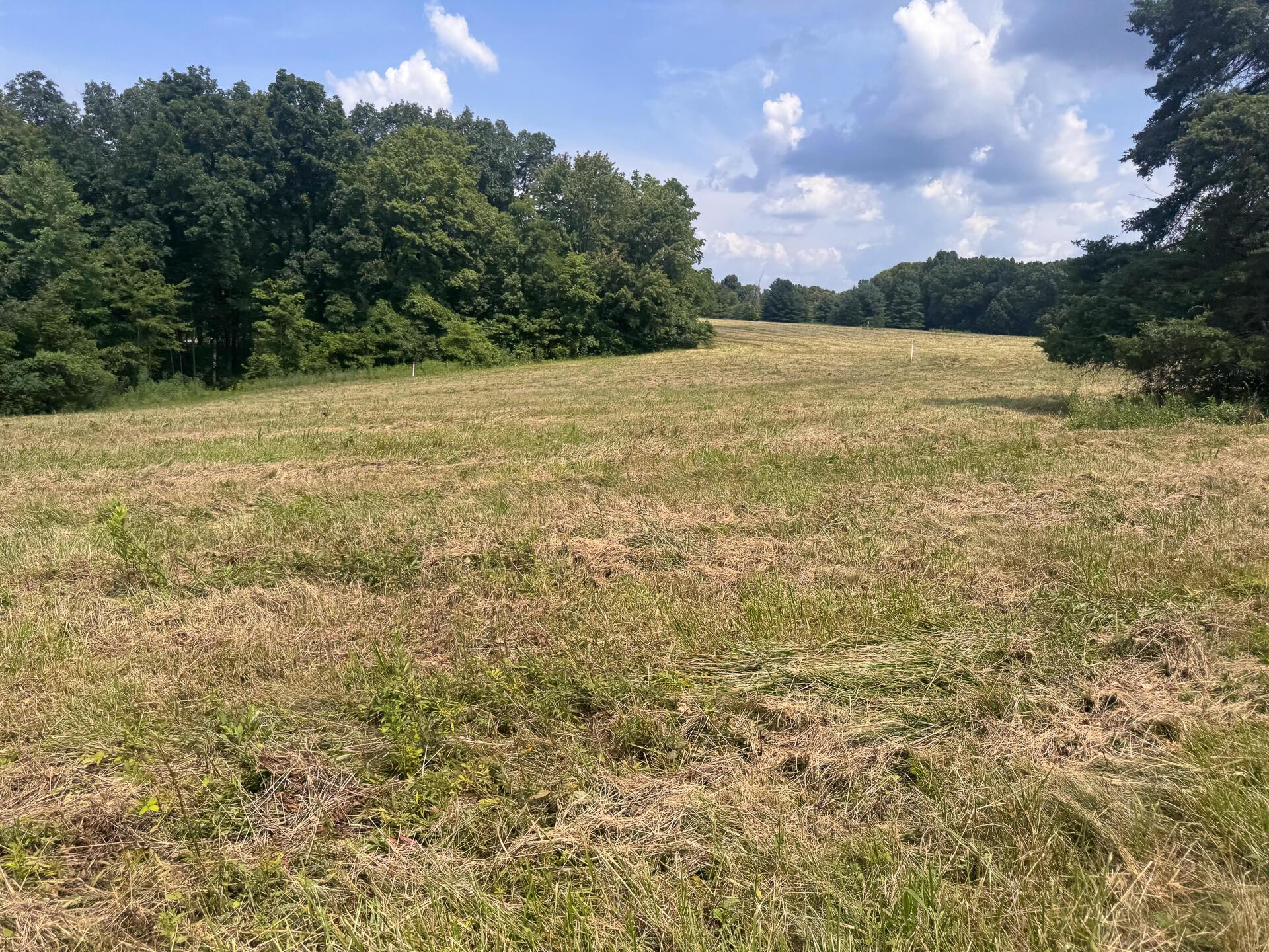 272 Golf Course Road, Unit TRACT 8 SKYLINEACRES) Waverly, OH 45690 - Photo 25 of 40 CT-25