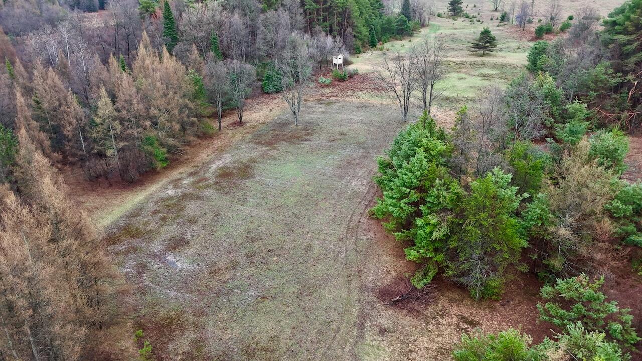 20200 Hibma Road Tustin, MI 49688 - Photo 12 of 98 003b