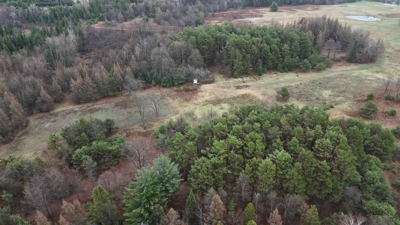 20200 Hibma Road Tustin, MI 49688 - Photo 20 of 98 003e