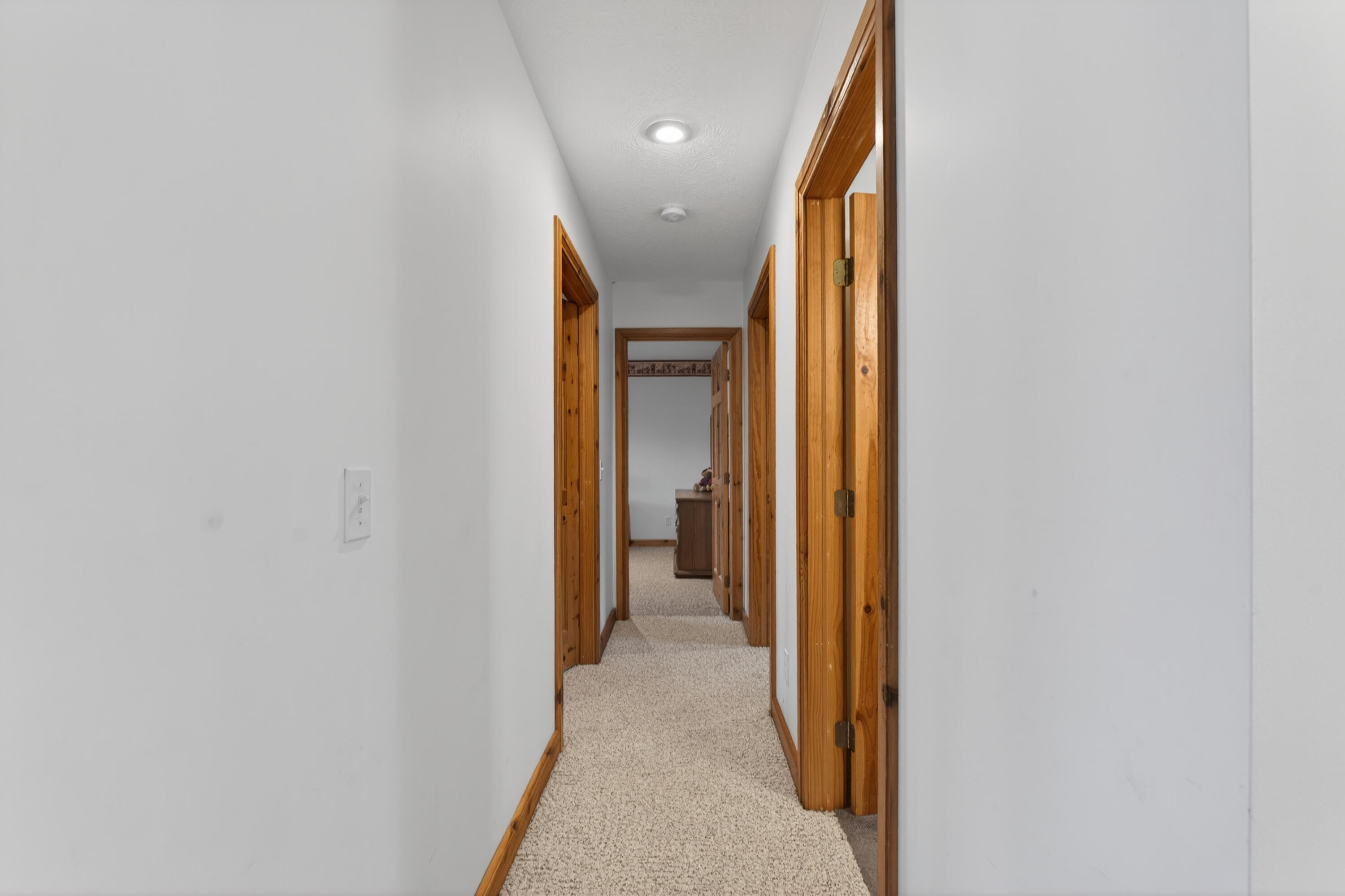 20200 Hibma Road Tustin, MI 49688 - Photo 41 of 98 008