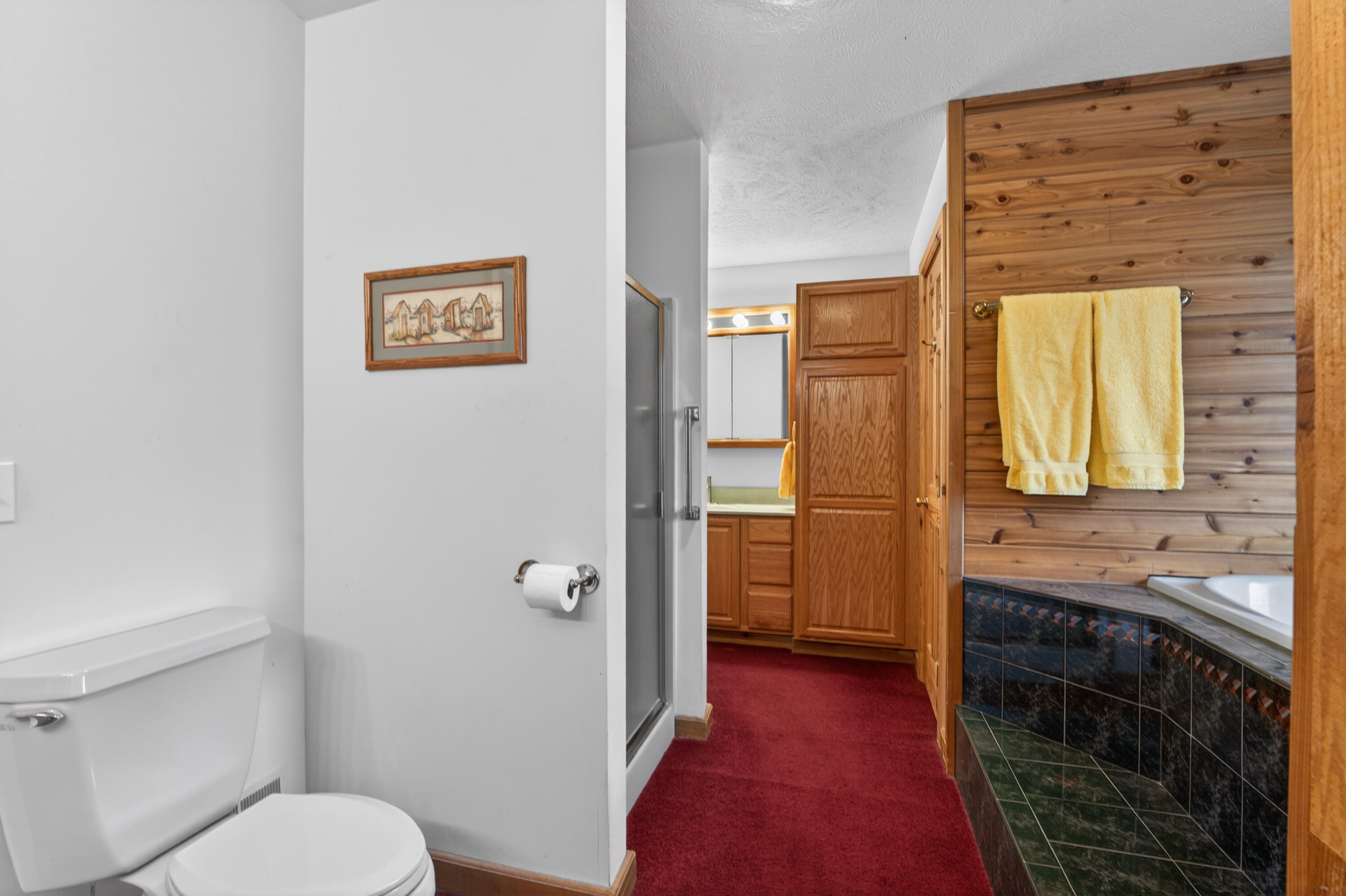 20200 Hibma Road Tustin, MI 49688 - Photo 52 of 98 012d-2