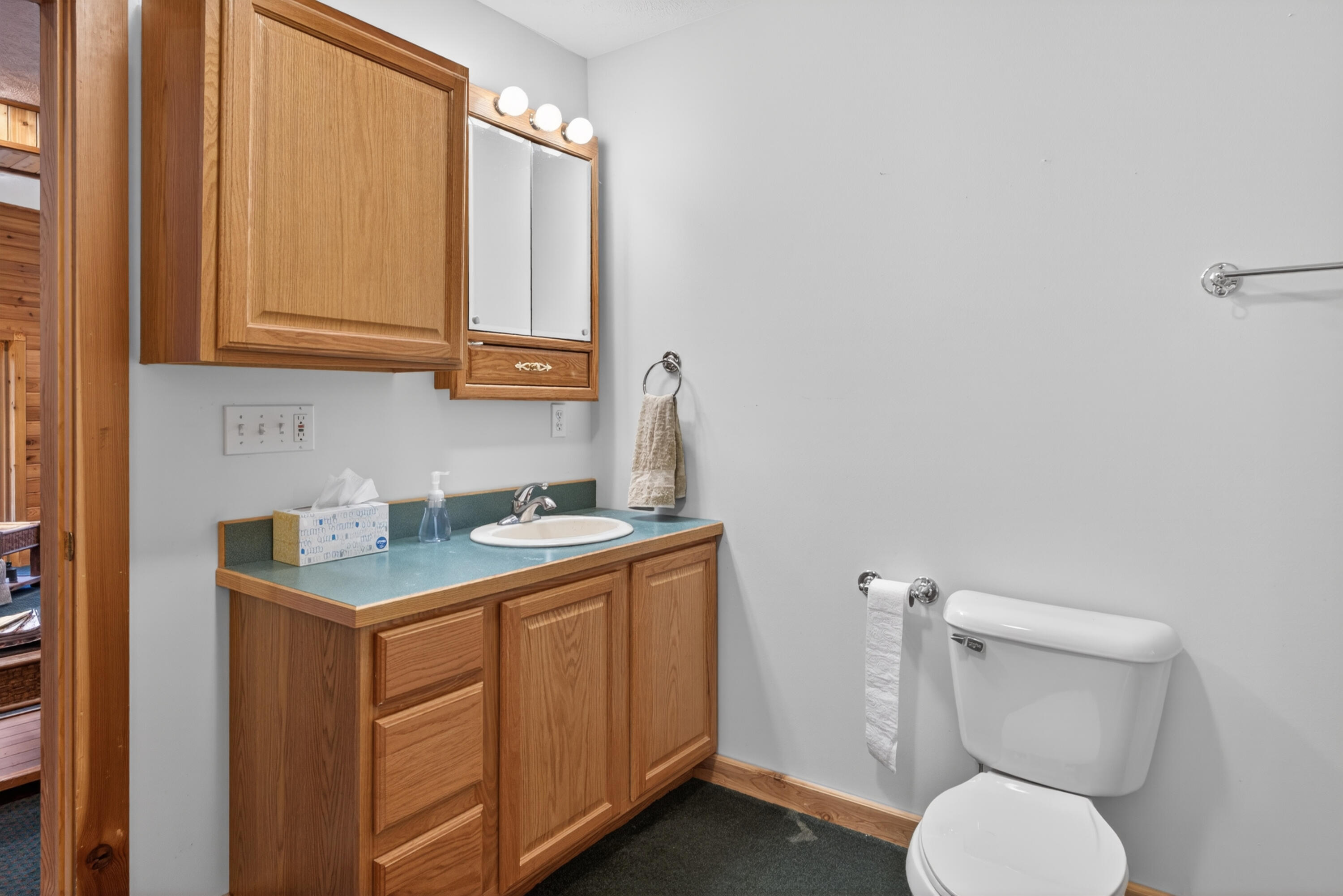 20200 Hibma Road Tustin, MI 49688 - Photo 65 of 98 016a