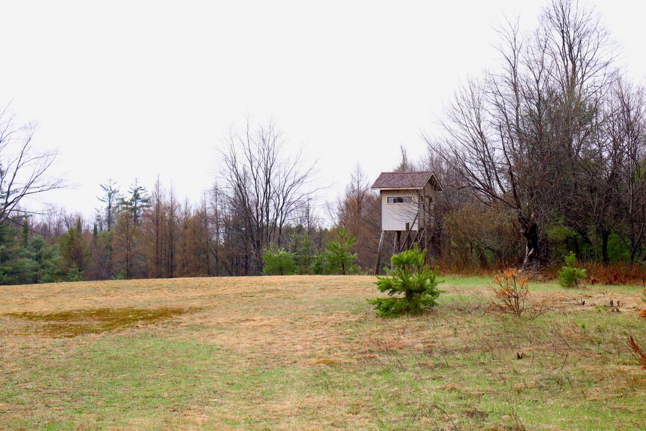 20200 Hibma Road Tustin, MI 49688 - Photo 88 of 98 IMG_2216