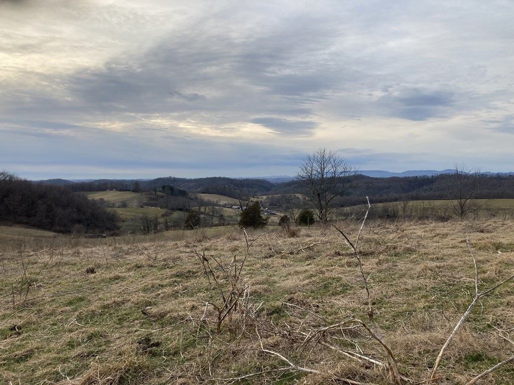 Tbd Widener Valley Road, Unit SEE REMARKS Glade Spring, VA 24340 - Photo 41 of 57 Gallery Image 41