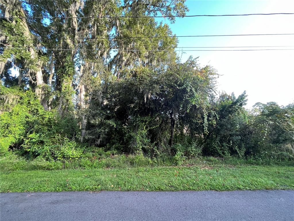 266 Toms Road DeBary, FL 32713 - Photo 5 of 8
