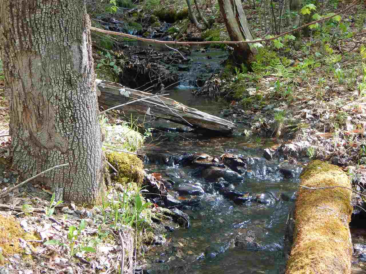 1715 Prickly Mountain Road Warren, VT 05674 - Photo 11 of 28
