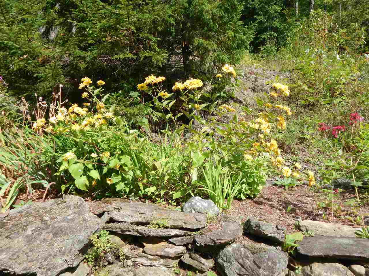 1715 Prickly Mountain Road Warren, VT 05674 - Photo 10 of 28