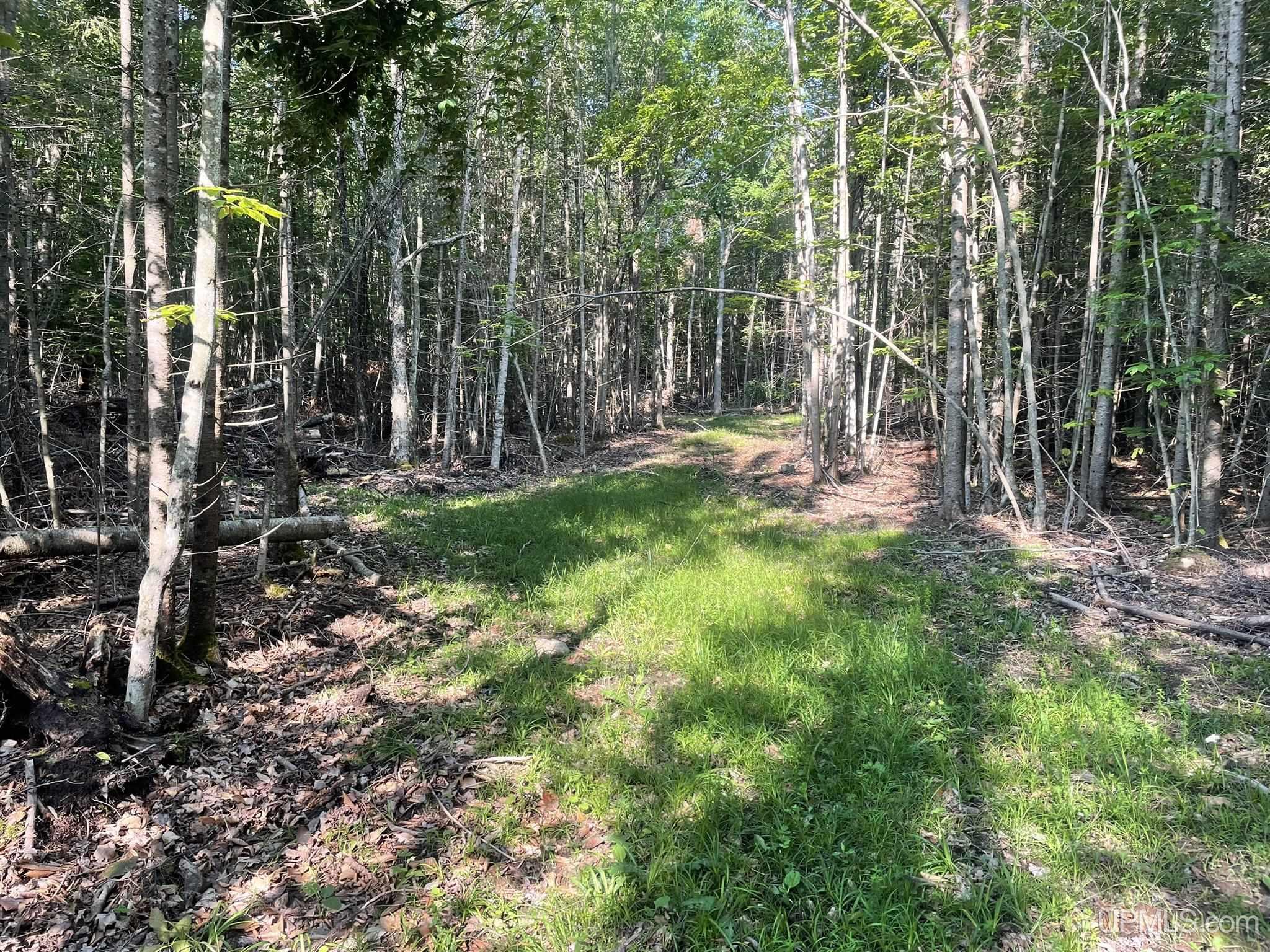 Tbd 17th Road Garden, MI 49835 - Photo 7 of 10