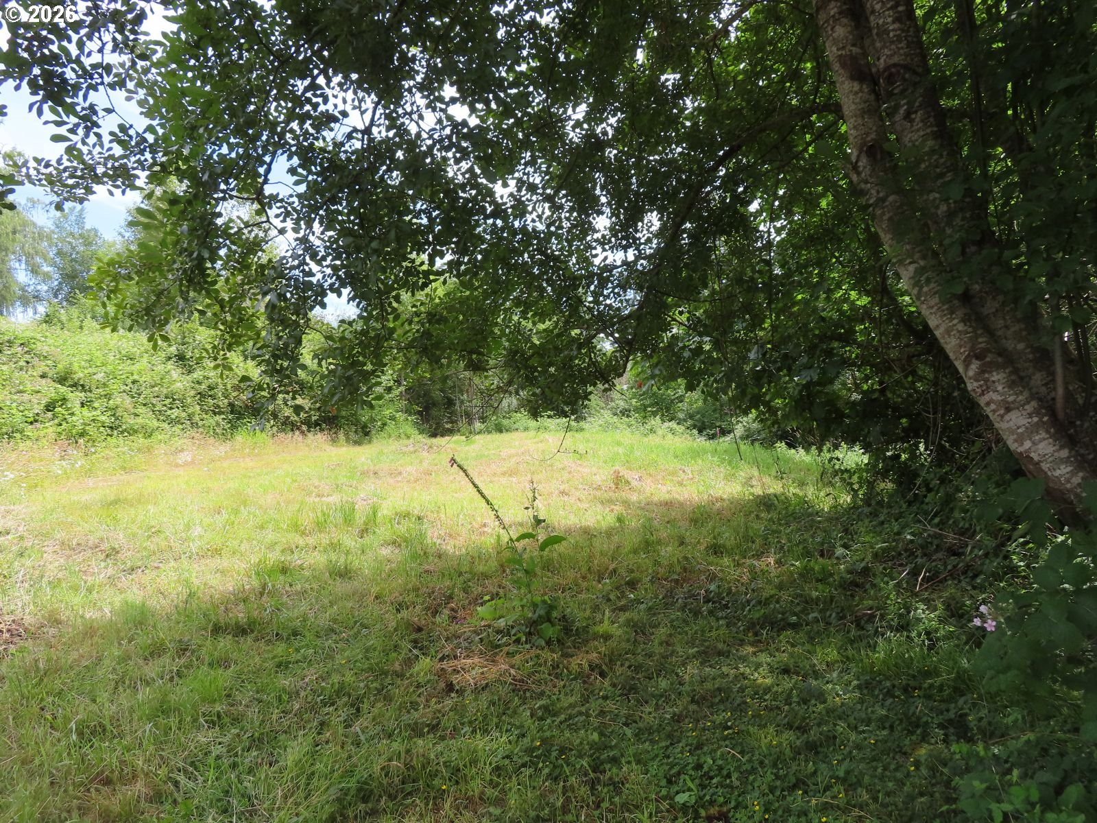 Coleman Road Mossyrock, WA 98564 - Photo 14 of 22