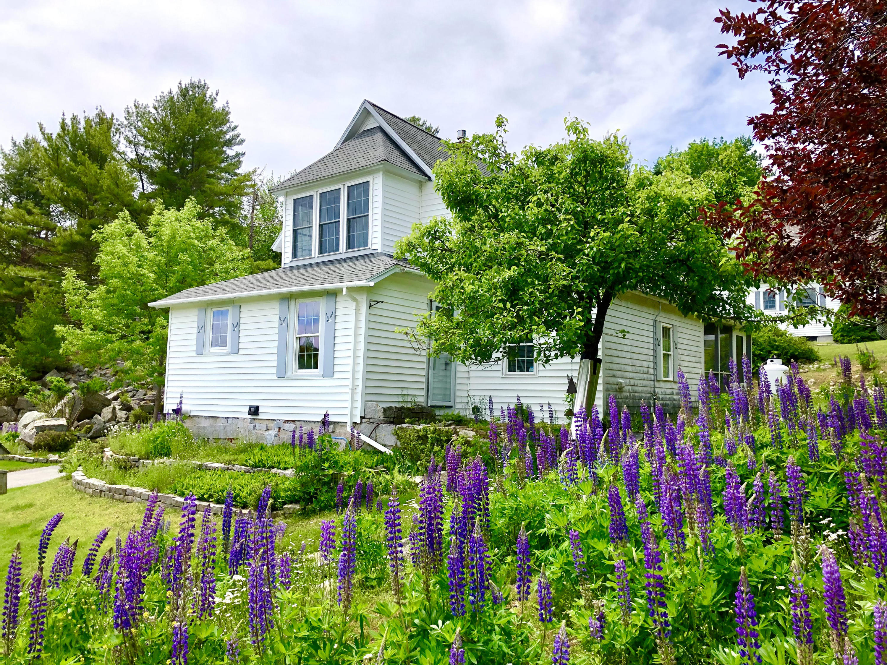 101 Hall Quarry Road Mount Desert, ME 04660 - Photo 2 of 58 Exterior front