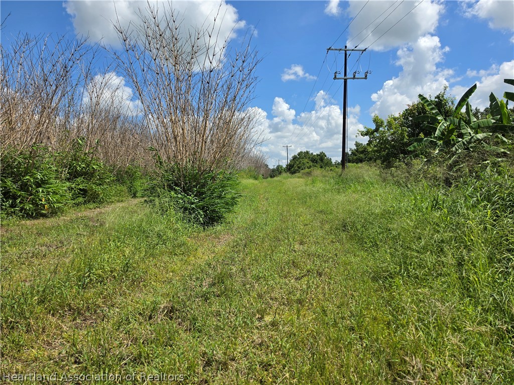 0 West St Road Wauchula, FL 33873 - Photo 18 of 24