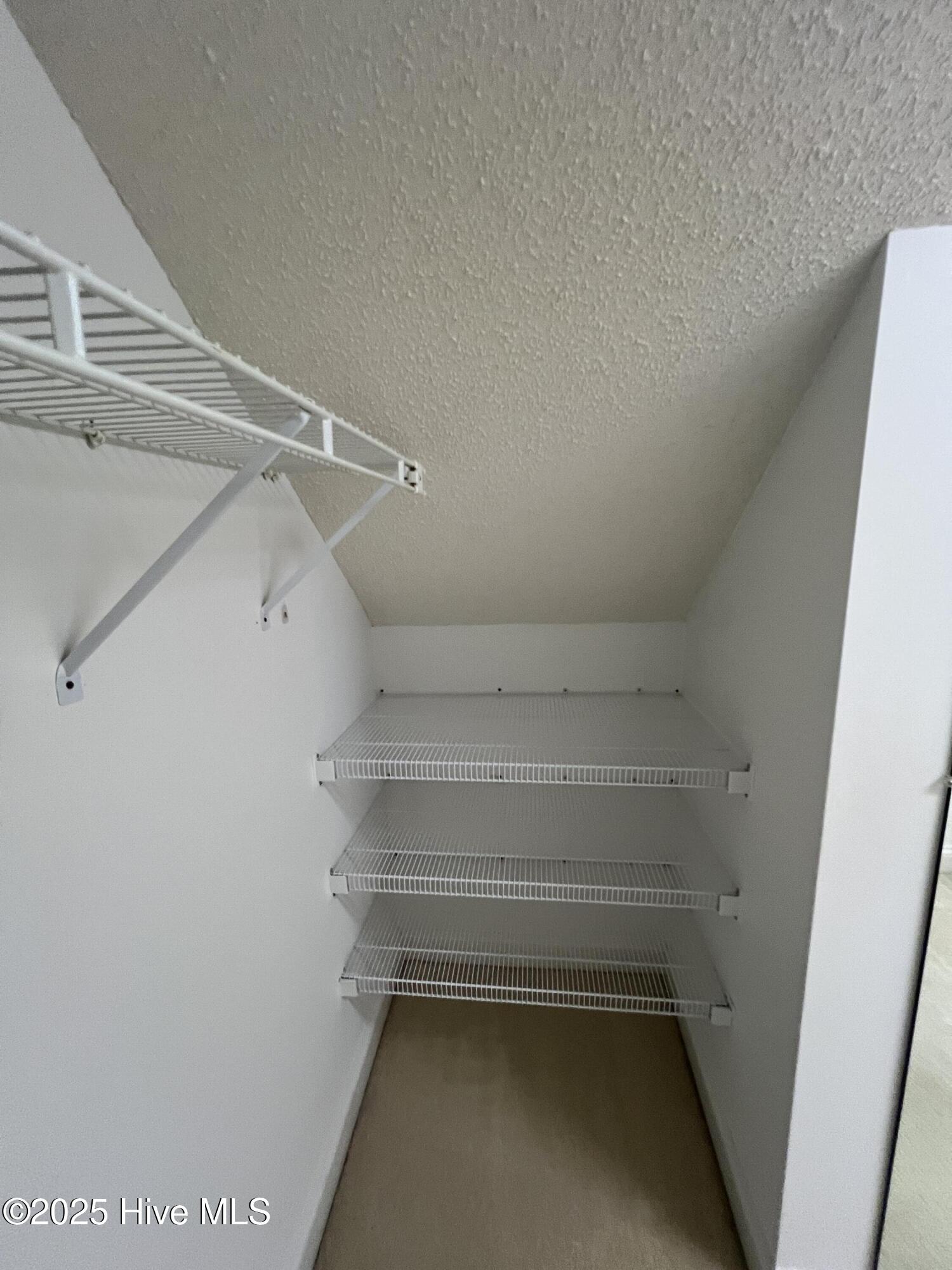 10 Pier Pointe, Unit POINTE New Bern, NC 28562 - Photo 28 of 64 walkin closet