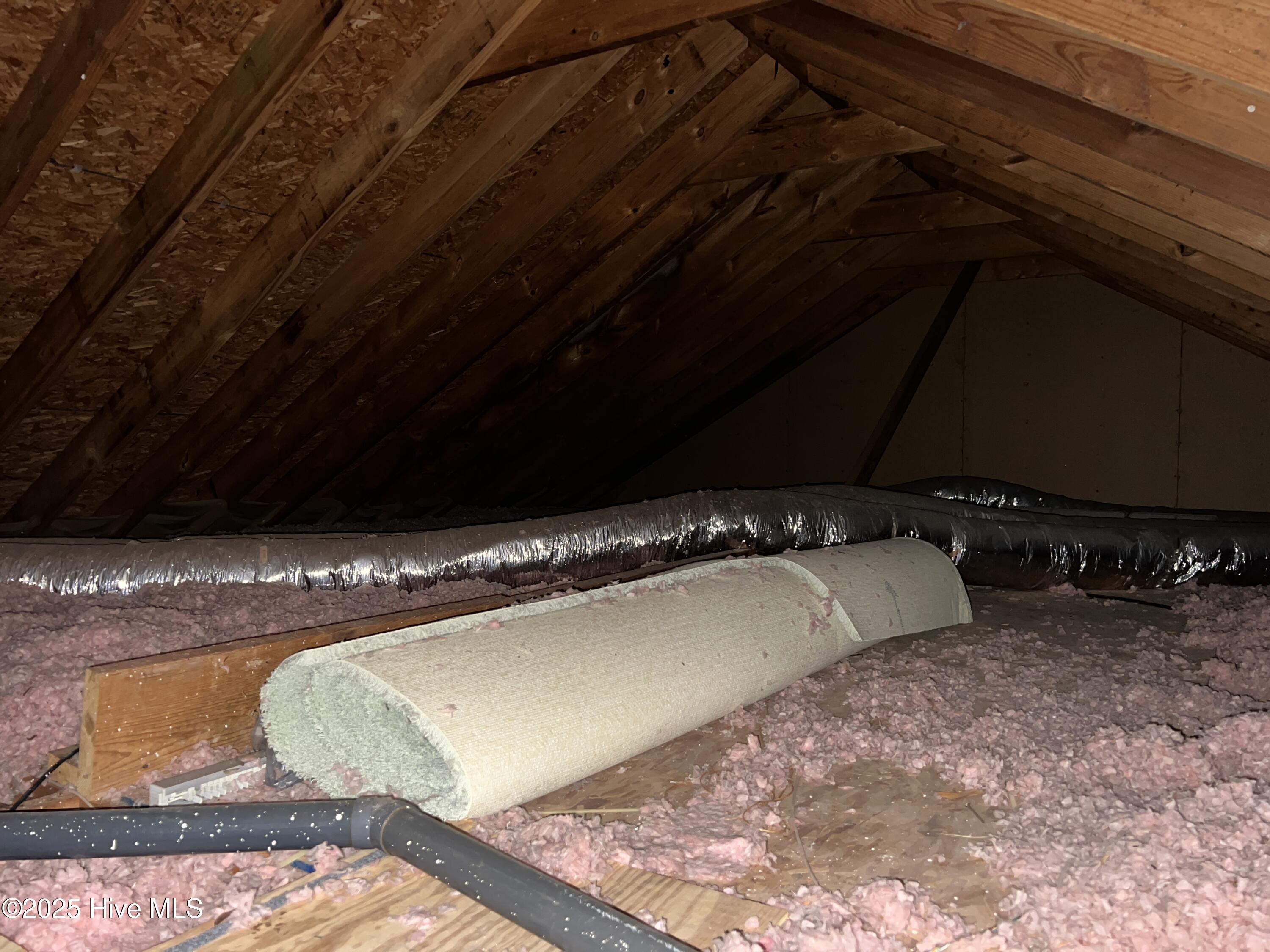 10 Pier Pointe, Unit POINTE New Bern, NC 28562 - Photo 60 of 64 part of upper attic area