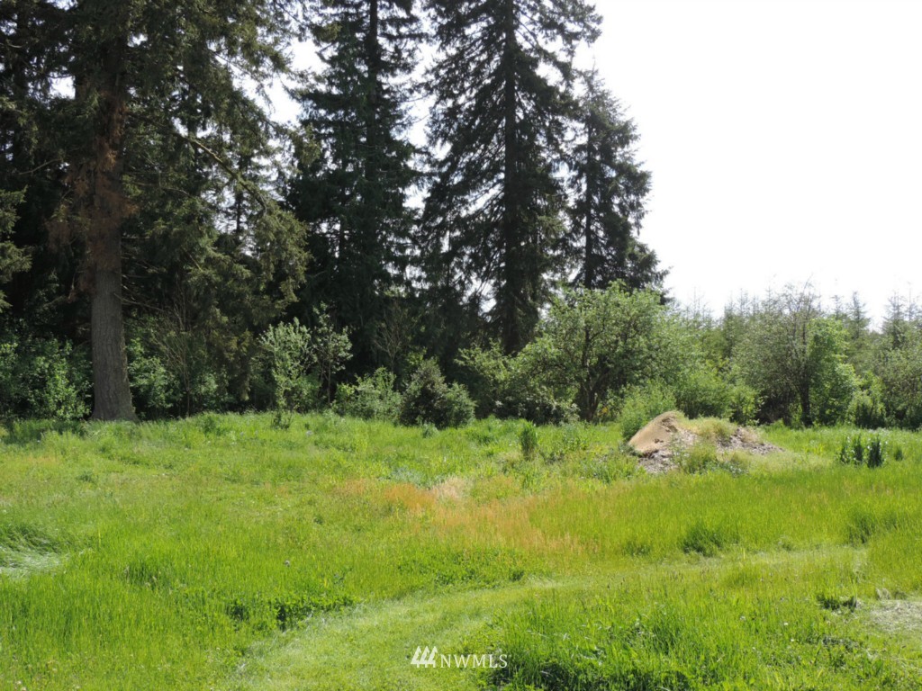 25 Larson Road McCleary, WA 98557 - Photo 11 of 13 Gallery Image 11