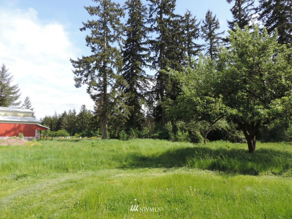 25 Larson Road McCleary, WA 98557 - Photo 12 of 13 Gallery Image 12