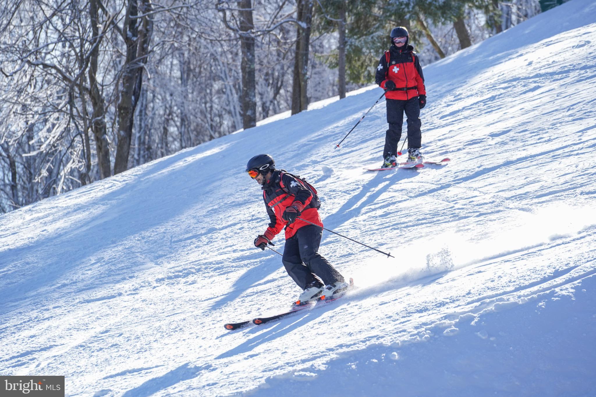 Lot 56 Rocky Camp Road McHenry, MD 21541 - Photo 3 of 19