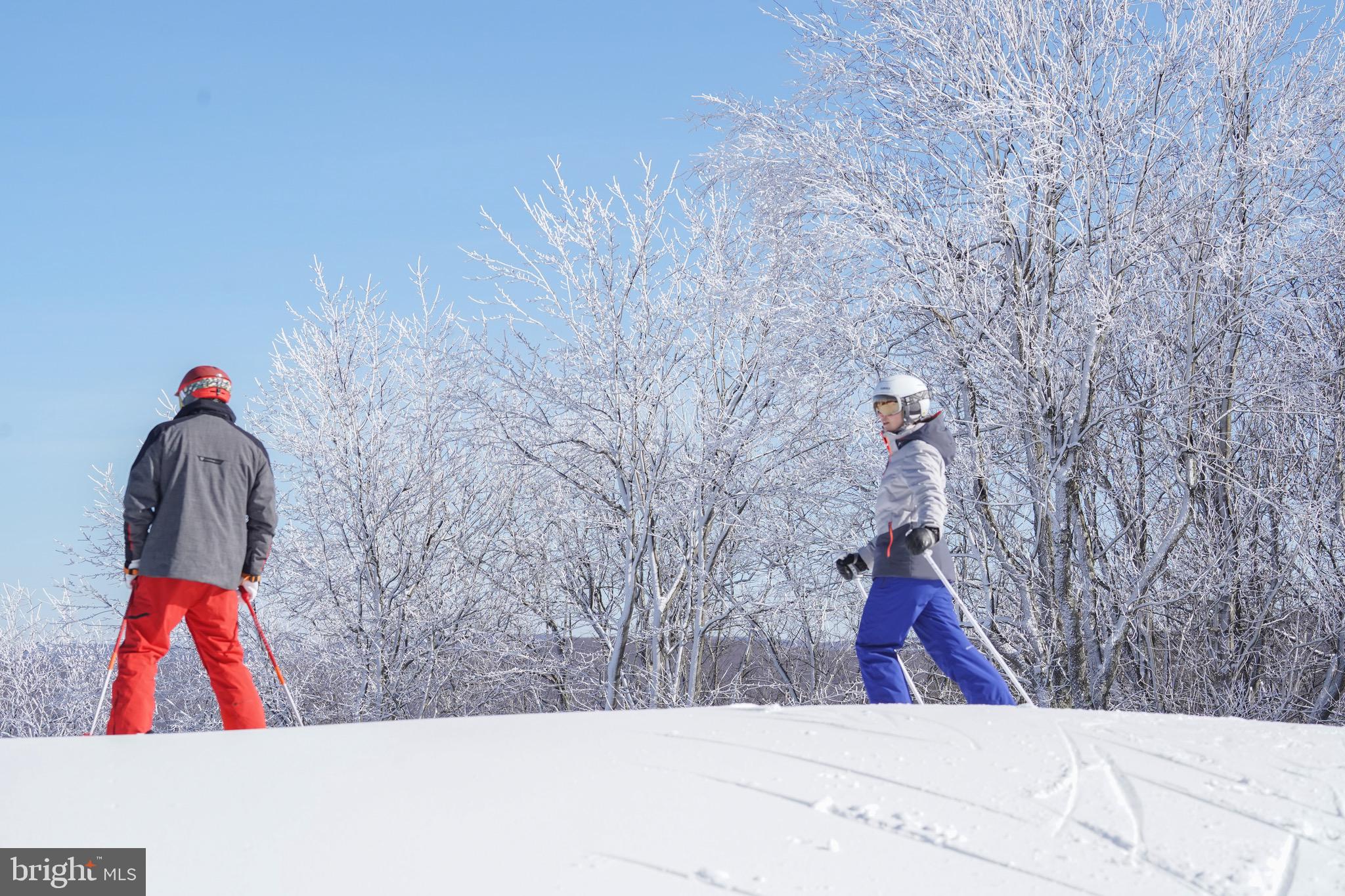 Lot 56 Rocky Camp Road McHenry, MD 21541 - Photo 4 of 19