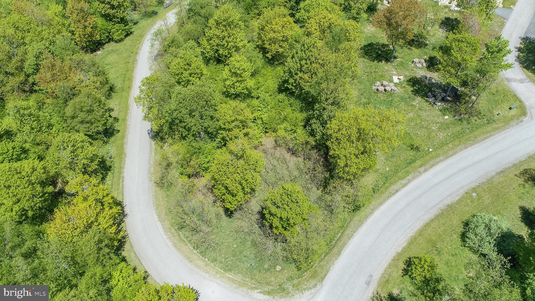 Lot 56 Rocky Camp Road McHenry, MD 21541 - Photo 7 of 19