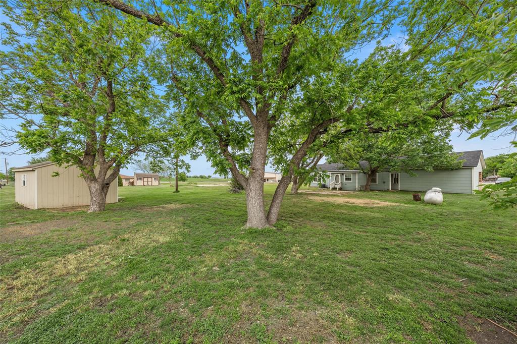 731 Highway 320 Lott, TX 76656 - Photo 15 of 16 a view of backyard with large trees