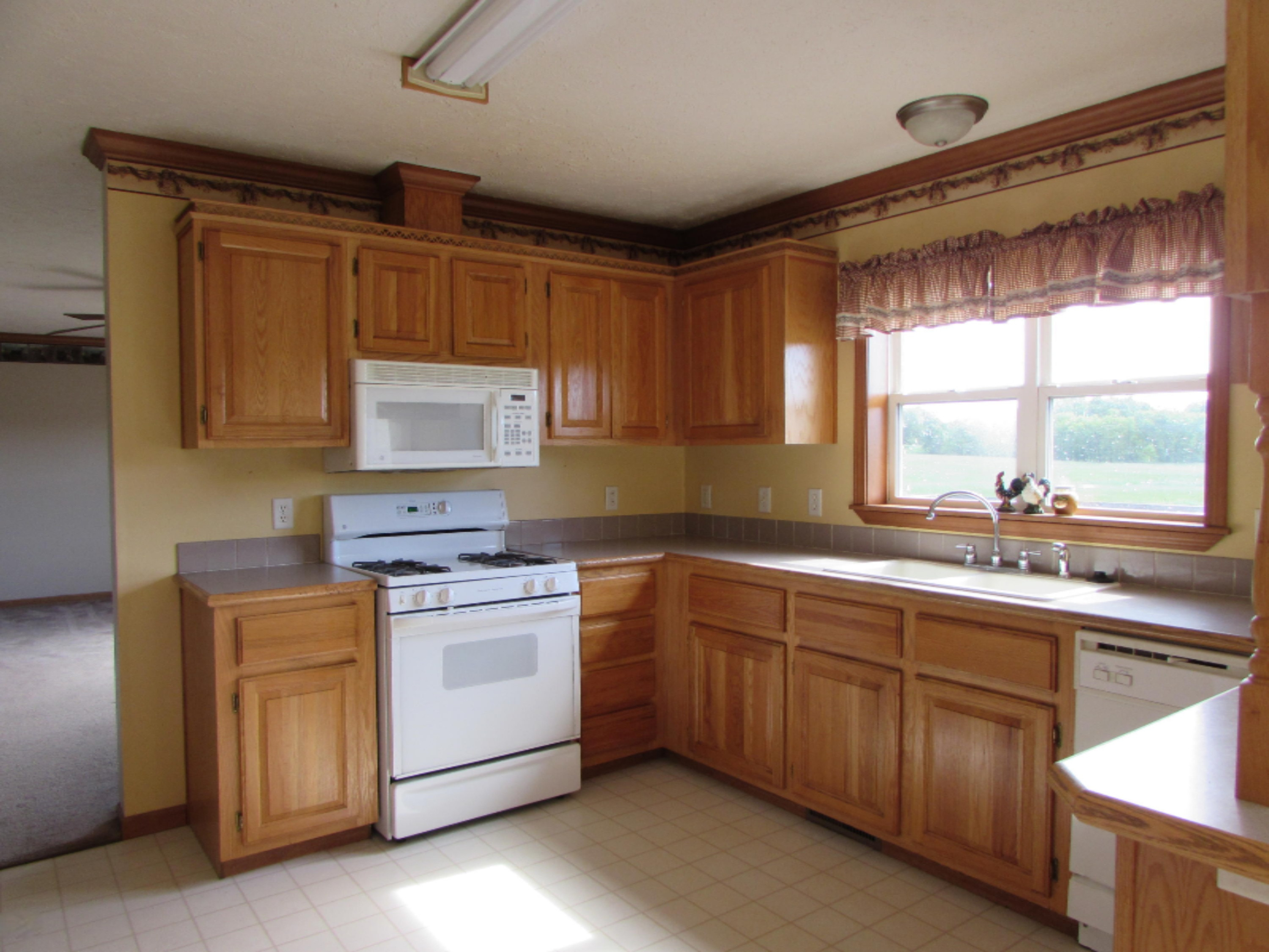 885 South Fremont Road Montgomery, MI 49255 - Photo 6 of 35 IMG_4714