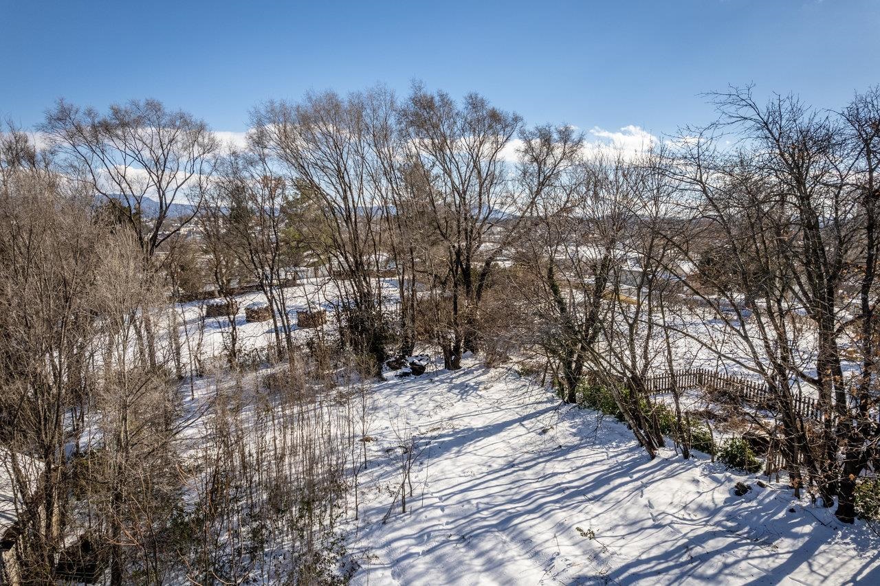924 Collicello Street Harrisonburg, VA 22802 - Photo 21 of 21 a view of a yard with trees in the background