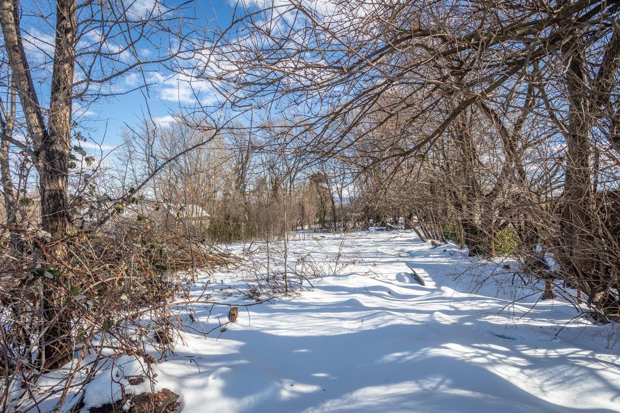 924 Collicello Street Harrisonburg, VA 22802 - Photo 3 of 21 a view of road with covered with snow